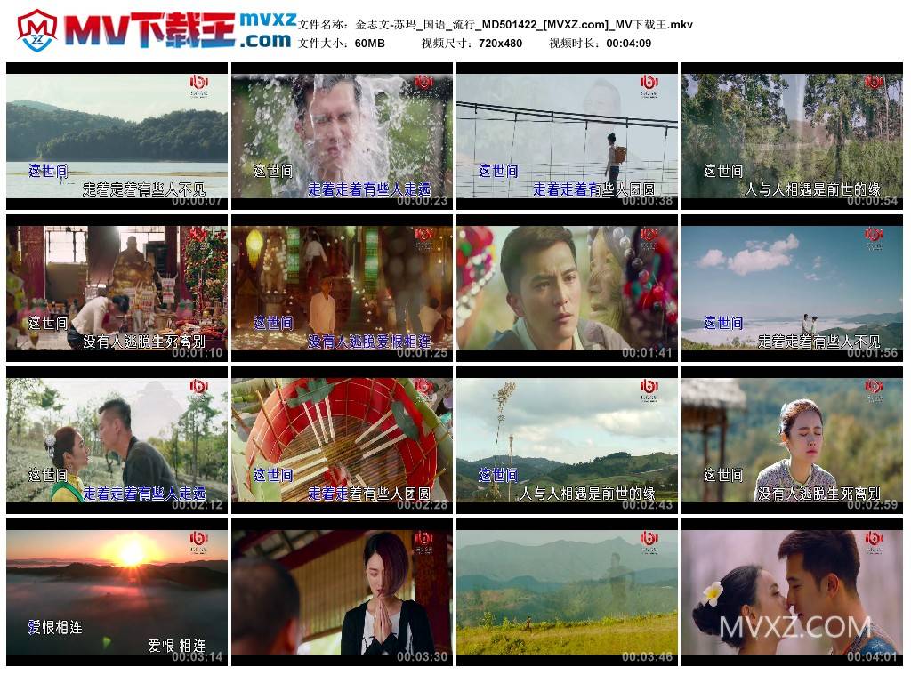 金志文-苏玛_国语_流行_MD501422